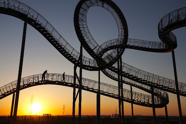 tiger & turtle